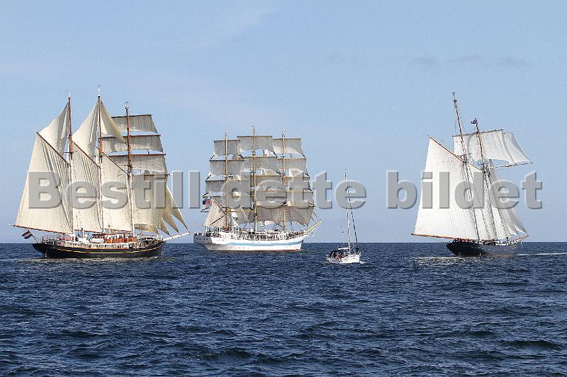 TSR2011_2 519.JPG